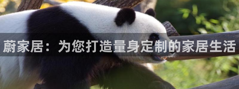 ug环球会员开户