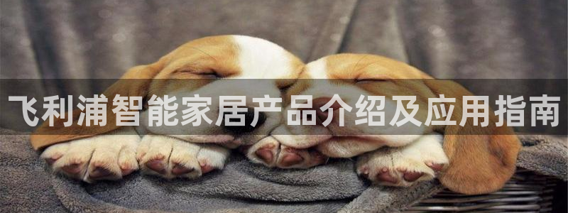 UG环球网一比一