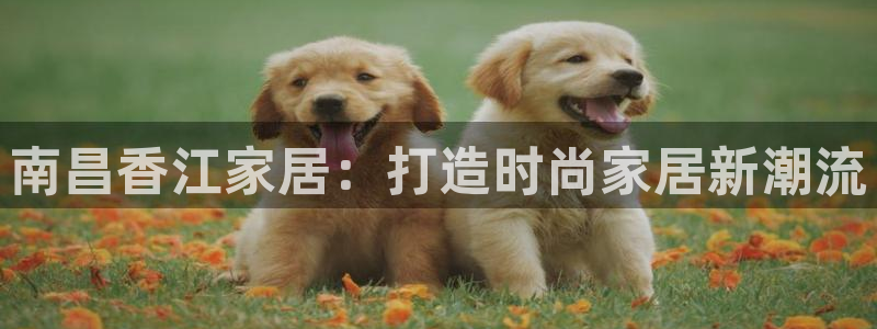ug环球360