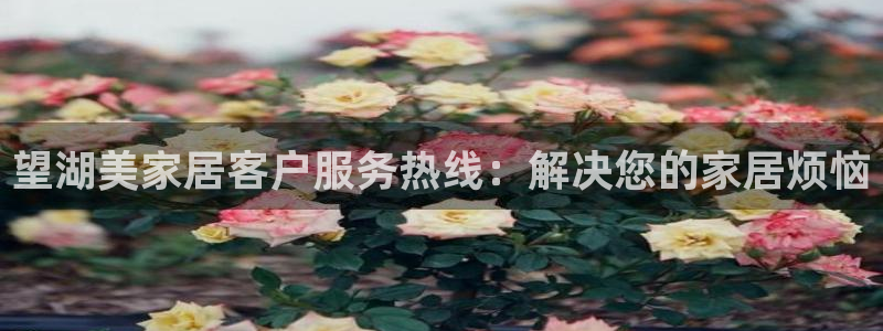 ug环球会员充值