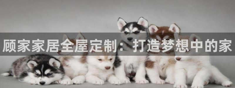 ug环球官网合作