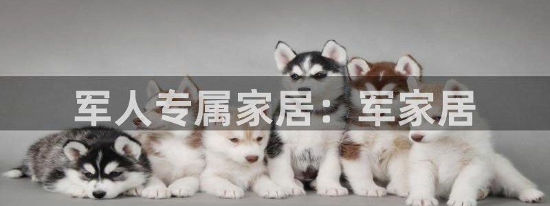 ug环球登录