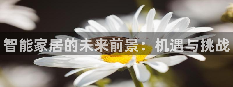 ug环球真假