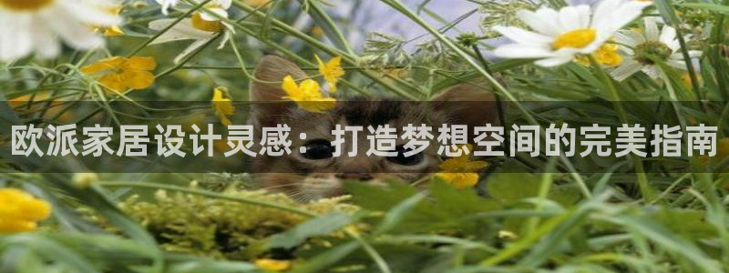 ug环球代理加盟