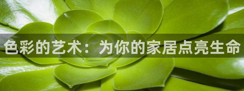 ug环球会员手机版下载