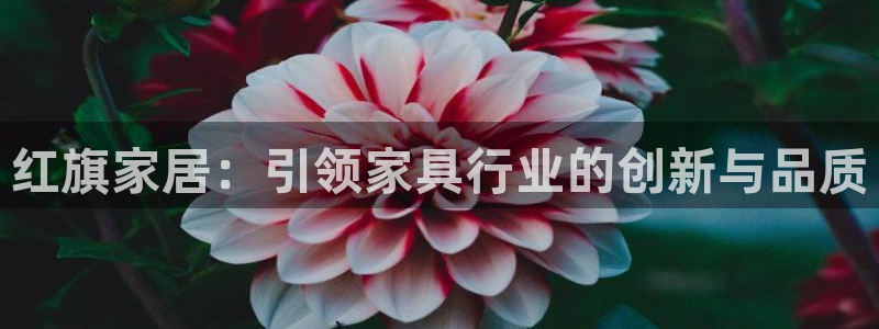 ug环球官网