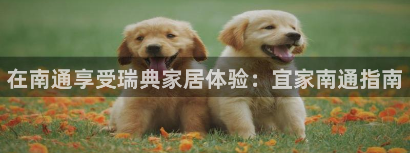 ug环球代理加盟
