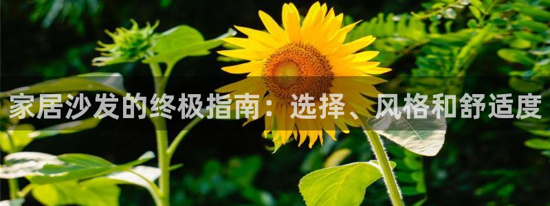 ug环球官网合作