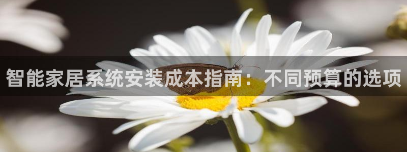 ug环球代理加盟