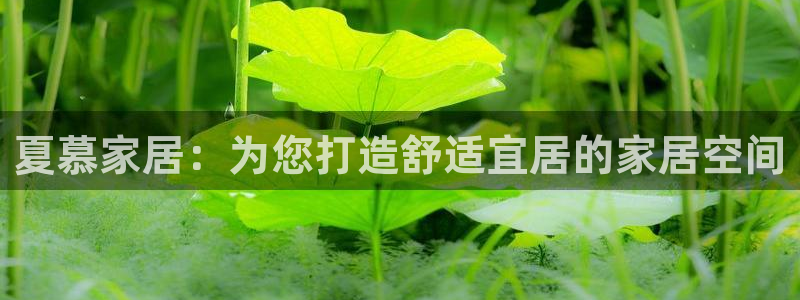 ug环球会员手机版下载