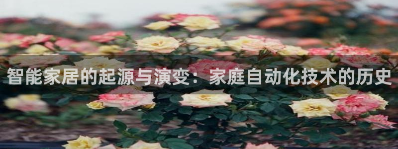 ug环球正网包杀