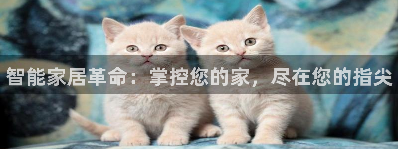 ug环球代理平台