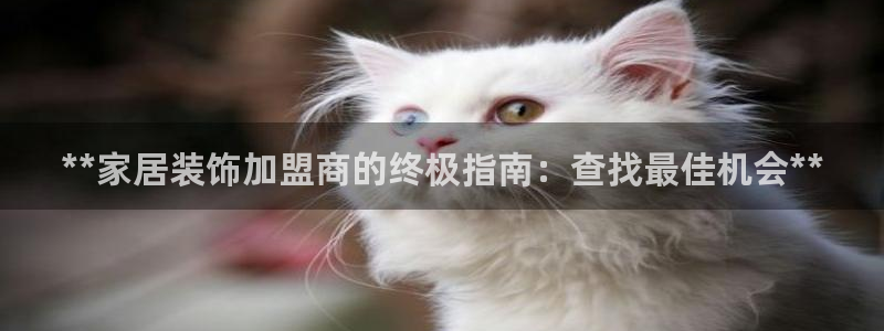 ug环球假网一比一人才