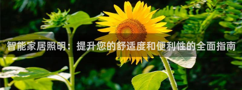 UG环球视讯