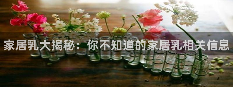 ug环球会员