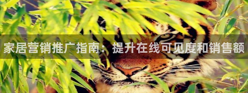 uG环球网站