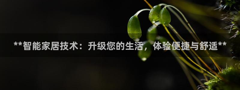 ug环球官网合作