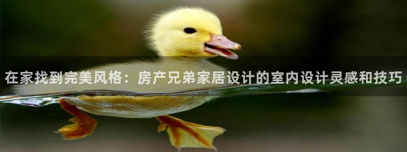 ug环球假网一比一
