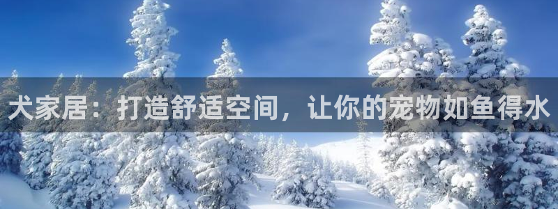 ug环球代理平台