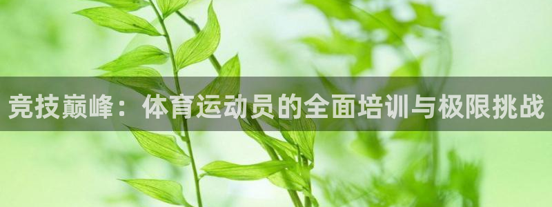谈球吧