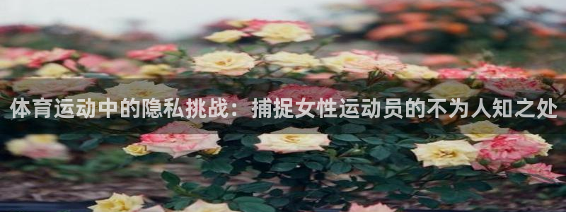 谈球吧
