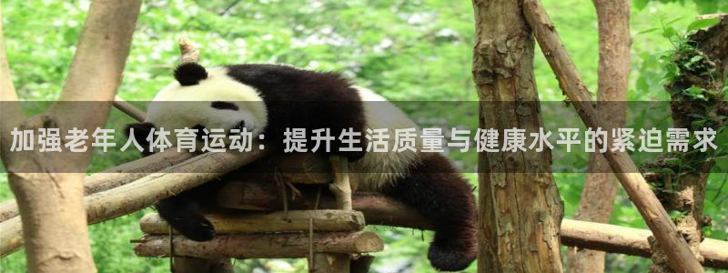 谈球吧体育