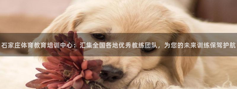 谈球吧体育
