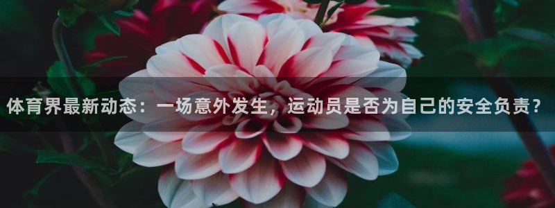谈球吧