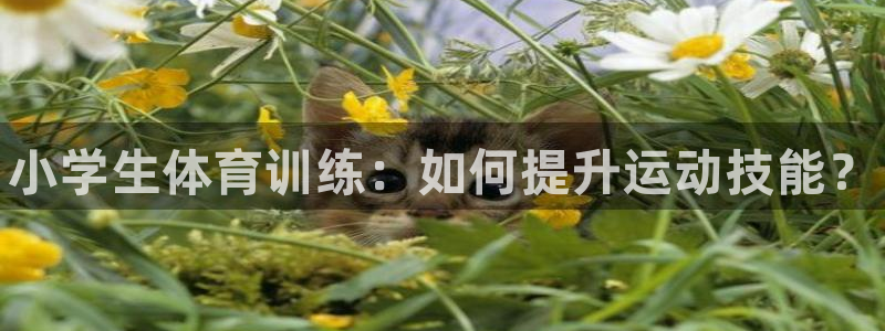 谈球吧体育官网