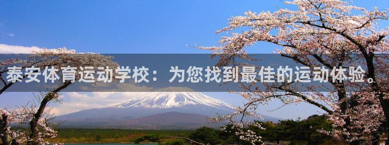 谈球吧体育