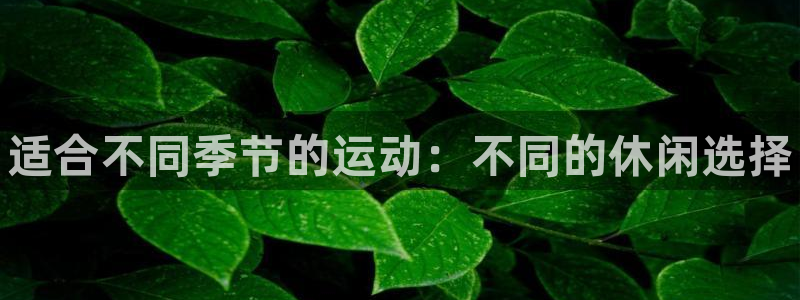 谈球吧