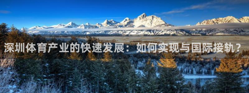 谈球吧体育官网