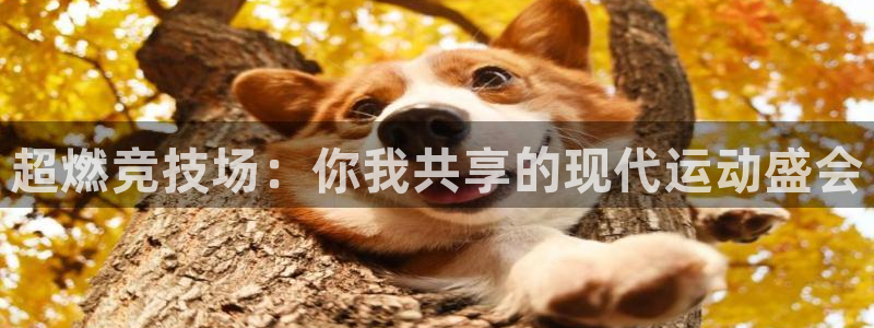 谈球吧体育