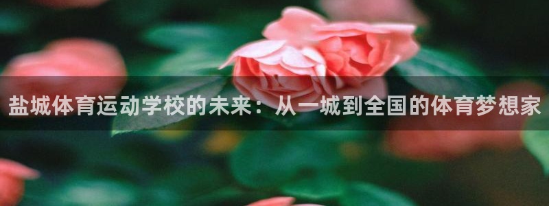 谈球吧