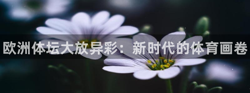 谈球吧体育官网