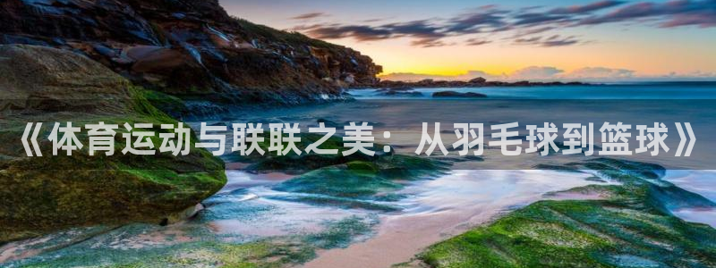 谈球吧体育官网