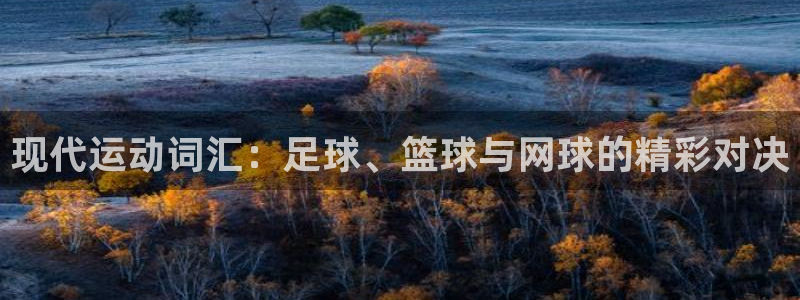 谈球吧体育官网