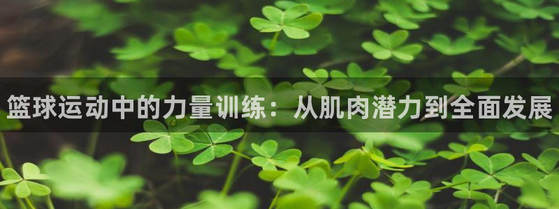 谈球吧体育