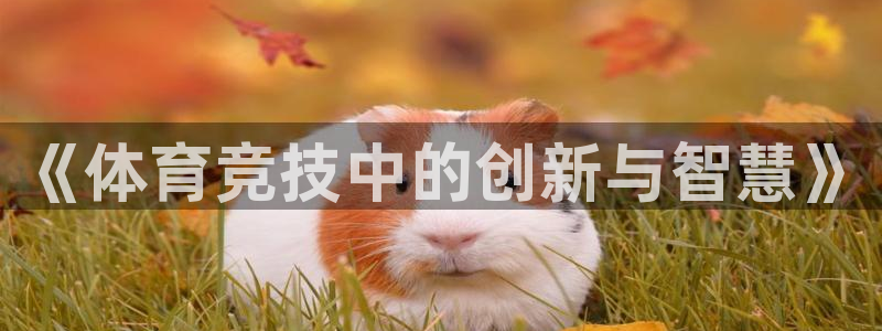 谈球吧体育