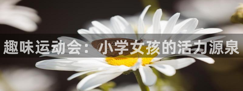 谈球吧体育官网