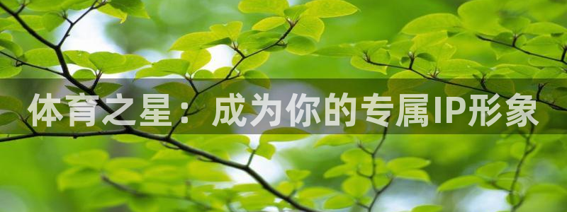 谈球吧体育