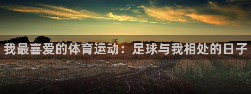 谈球吧体育