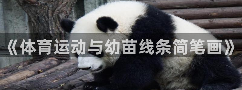 谈球吧体育官网