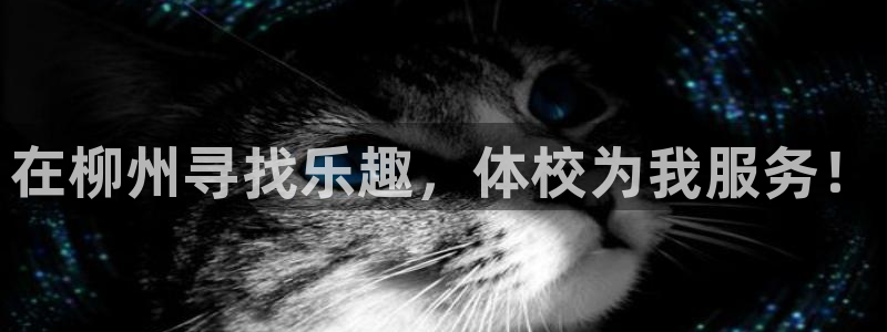 谈球吧体育官网