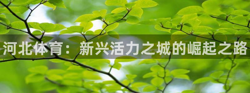 谈球吧体育