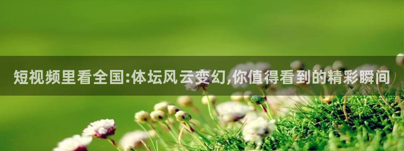 谈球吧