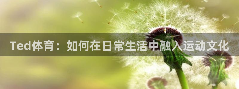 谈球吧体育官网