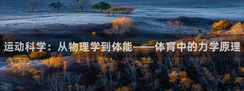谈球吧