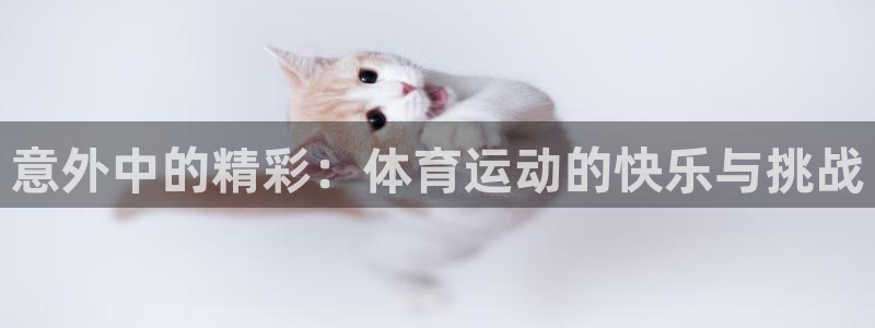 谈球吧体育官网