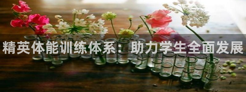 谈球吧体育官网